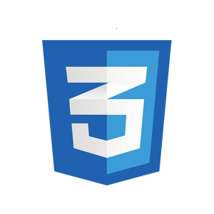 Css1